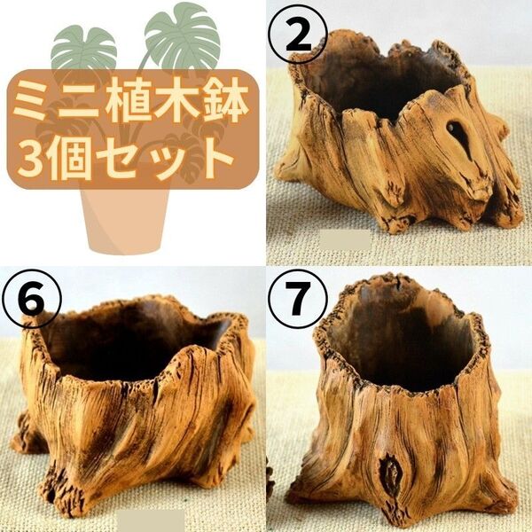 ミニ植木鉢②⑥⑦ 陶器製 多肉植物 おしゃれ ポット おまとめ 観葉植物 サボテン 園芸用品 ガーデニング雑貨 切り株風 小さめ