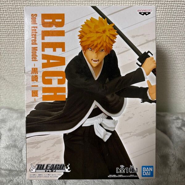 BLEACH Soul Entered Model -黒崎一護-
