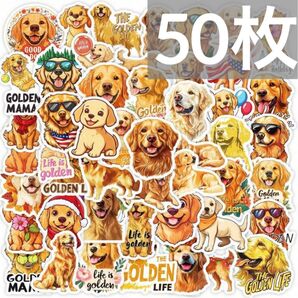 【50枚】ゴールデンレトリバー シールセット ステッカー 防水 犬 ゴールデンレトリーバー