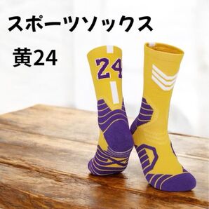 ジュニア スポーツソックス 19~24 黄24 運動会 バスケット アウトドア 急速乾燥 通気性 伸縮性