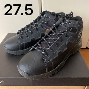 箱無し アオラギ EXP ミッド WP ハイテック