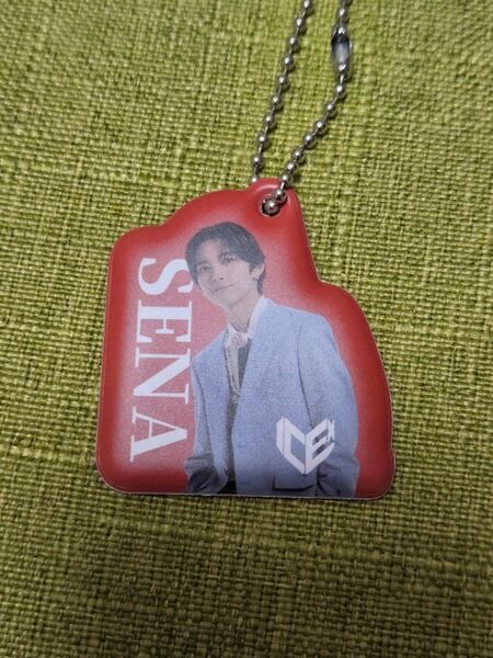 EBiDAN PVCチャーム Part.1 竹野世梛 ICEx
