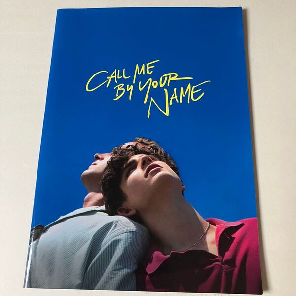 君の名前で僕を呼んで CALL ME BY YOUR NAME 映画パンフレット 洋画