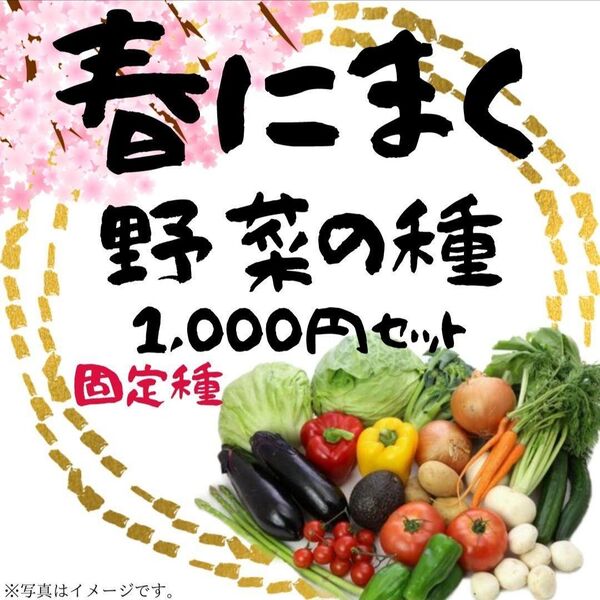 春にまく野菜の種 1,000円セット【2025年 春】