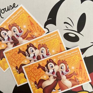 ディズニー パークチケット使用済み