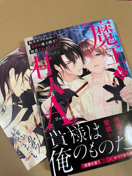 魔王と村人A 転生モブのおれがなぜか魔王陛下に執着されています 秋山龍央 乃木津ゆう