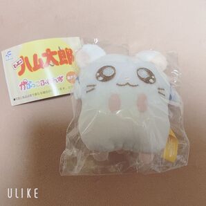 とっとこハム太郎 かぷっこふれんず リボンちゃん