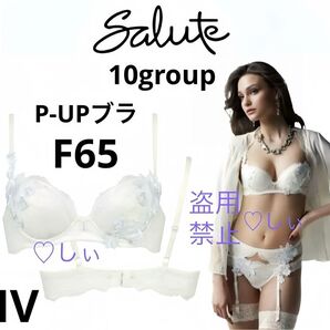 新品タグ付き Salute サルート 10G P-UPブラジャー F65 IV 白 anan掲載 anan 倉科カナ着用 倉科カナ