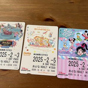 ディズニーリゾートライン フリー切符使用済み セット