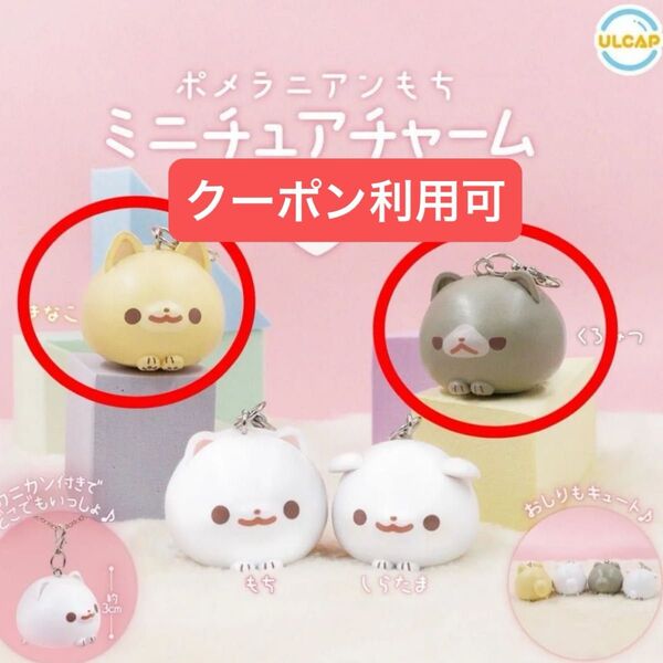ポメラニアンもち チャーム