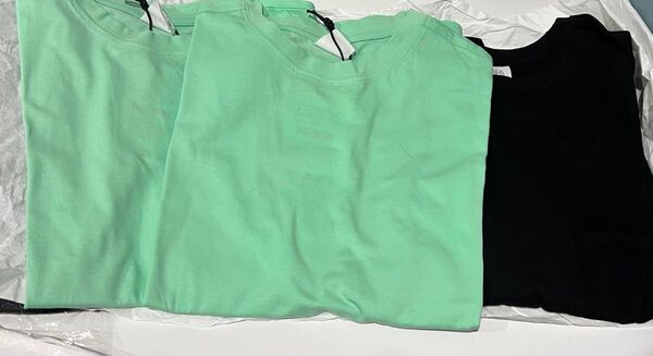 ZARA 無地Tシャツ 130140130(左から)
