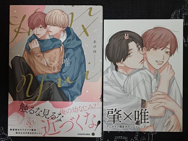 肇×唯 アニメイト4Pリーフレット付き