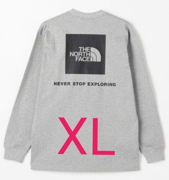 THE NORTH FACE/ザ・ノース・フェイス バックプリントロンT XLサイズ