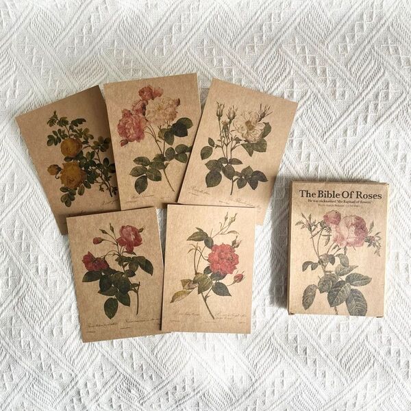 海外ポストカード アンティーク調 ローズ 25枚入り