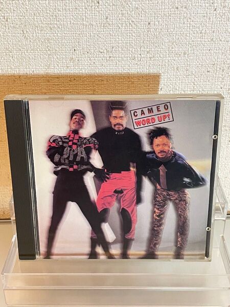 WORD UP! / ワードアップCAMEO キャメオ P35C20030