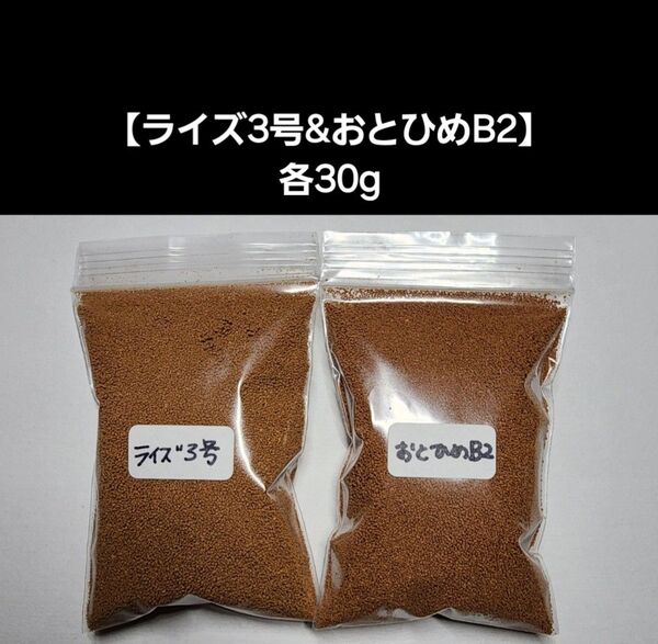 メダカ餌【ライズ3号&おとひめB2】各30gセット