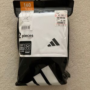 グンゼ Tシャツ 160 2枚 速乾 運動着