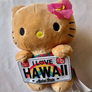 ハワイ限定 日本未発売未入荷 50thアニバーサリー記念 日焼けキティちゃん ABCストア限定