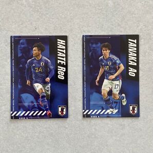 カルビー サッカー日本代表