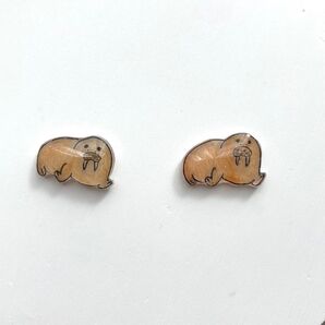 セイウチピアス/イヤリング