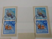 20　M　№C　日本切手　普通　1993年　日本の自然　41円・62円　初日印付　和文・欧文・局違等　計3種＋ペア4種＋ペーン＋FDC_画像2