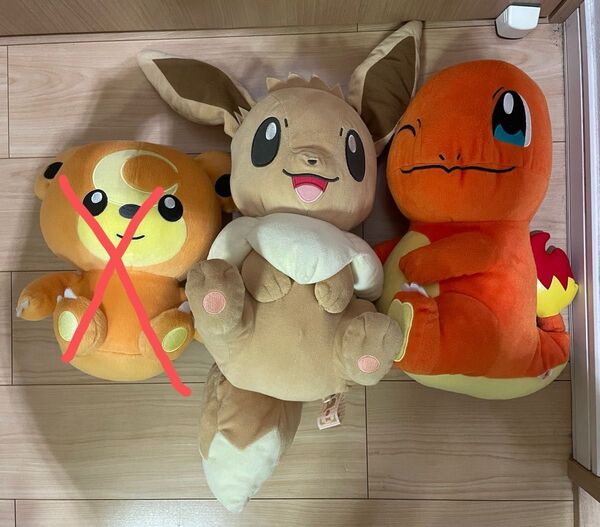 ポケモン ぬいぐるみ イーブイ ヒトカゲ セット