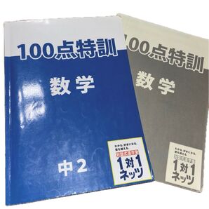 1対1ネッツ 100点特訓 数学 中2