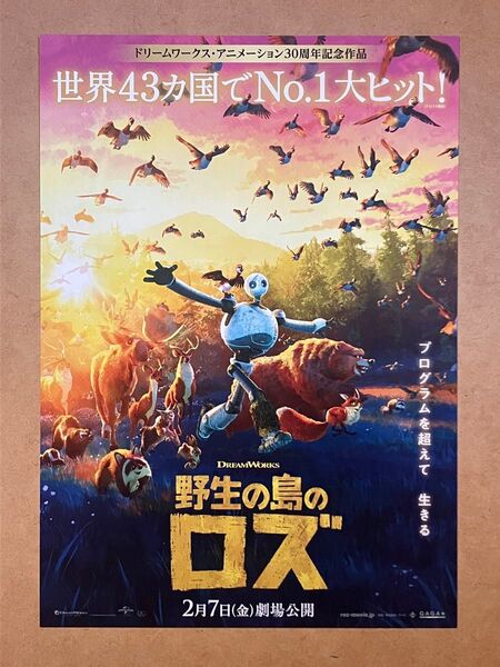 野生の島のロズ / 映画チラシ 映画フライヤー 6枚セット