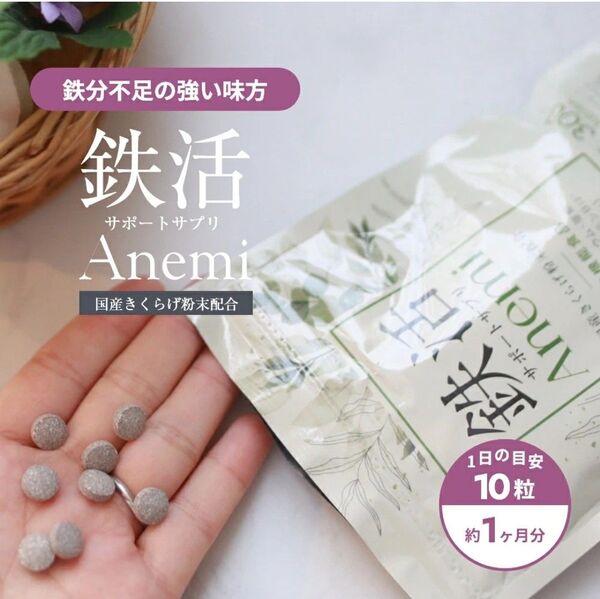 Anemi(アネミー) 鉄活サポート サプリ 鉄分 マグネシウム 亜鉛 300粒 3袋セット