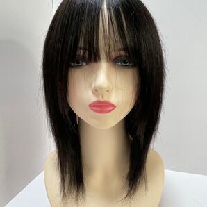 フルウィッグ人毛100%医療ウィッグ鎖骨ミディアム ストレート ナチュラルブラック
