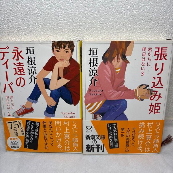 【垣根涼介】張り込み姫 永遠のディーバ 2冊
