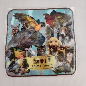 Moff animal world ハンドタオル