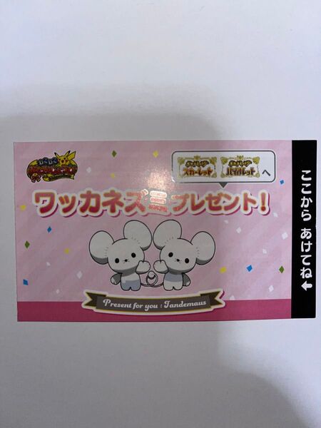 ワッカネズミプレゼント シリアルコード ポケモンセンター わくわくおたんじょうび