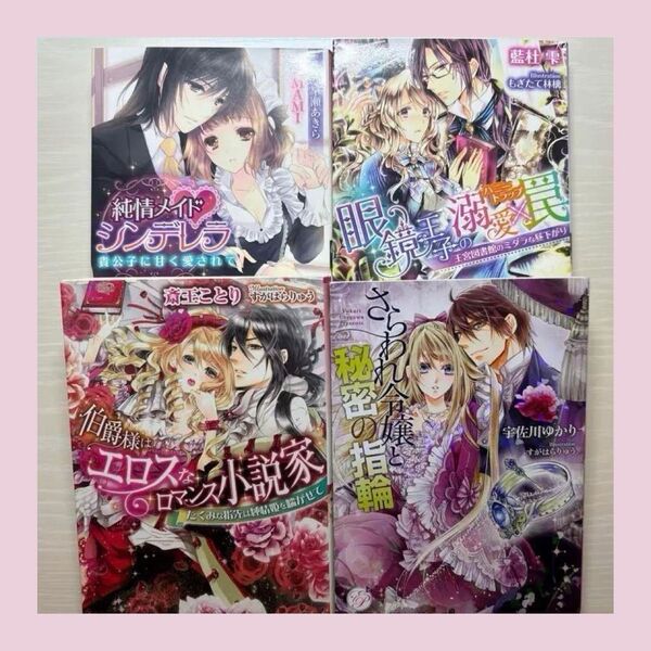【組替えOK・売り切り特価】ティーンズラブ TL 小説 4冊セット No.30