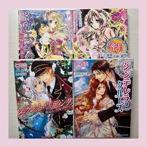 【組替えOK・売り切り特価】ティーンズラブ TL 小説 4冊セット No.25