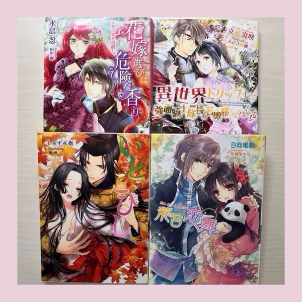 【組替えOK・売り切り特価】ティーンズラブ TL 小説 4冊セット No.18