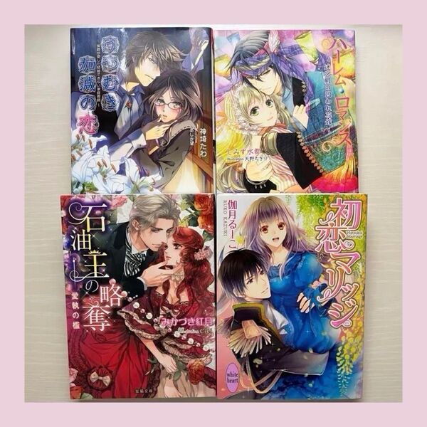 【組替えOK・売り切り特価】ティーンズラブ TL 小説 4冊セット No.9