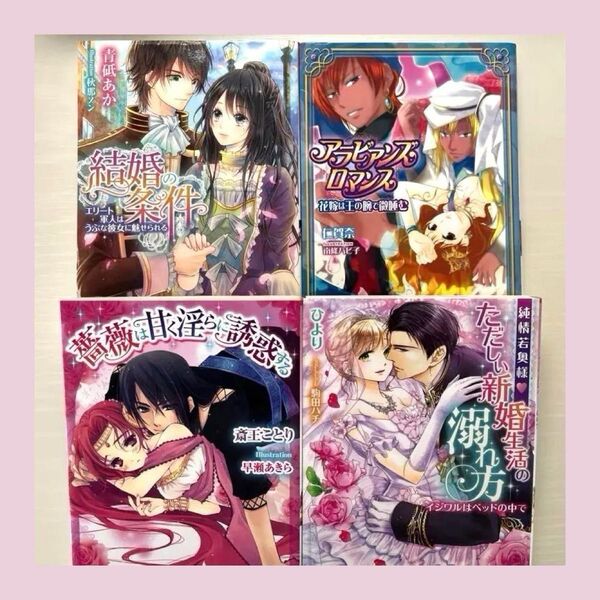 【組替えOK・売り切り特価】ティーンズラブ TL 小説 4冊セット No.7