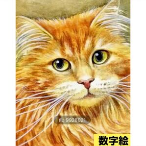 数字絵 ペイントバイナンバー 可愛い茶ネコ
