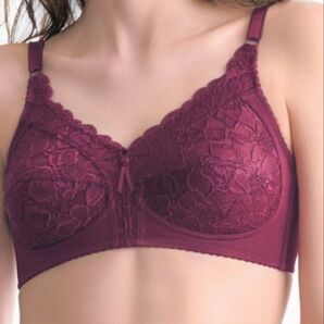 シャルレFA183ブラ C90