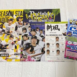 プロ野球 宮崎キャンプ2025 パンフレット ガイドブック ガイドマップ