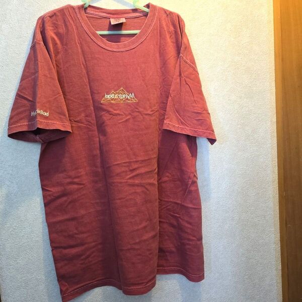 メンズ My Hail is Bad半袖Tシャツ L