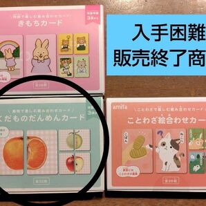 ◆販売終了◆ くだものだんめん 絵合わせカード 組合せカード アミファ ①