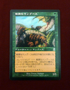 MTG マジック・ザ・ギャザリング【敏捷なマングース Nimble Mongoose】 オデッセイ 日本語版