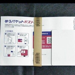 ゆうパケットポスト mini 60枚セット 専用封筒