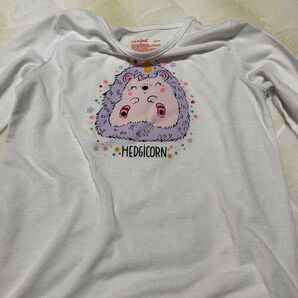 Cat&Jack 長袖Tシャツ 90 ホワイト ハリネズミ
