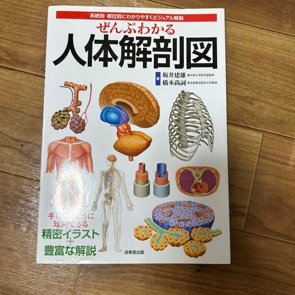 ぜんぶわかる人体解剖図 系統別・部位別にわかりやすくビジュアル解説 坂井建雄/著 橋本尚詞/著