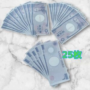 リアルなおもちゃのお金 25枚 廃盤品 B①.2025.03.26.