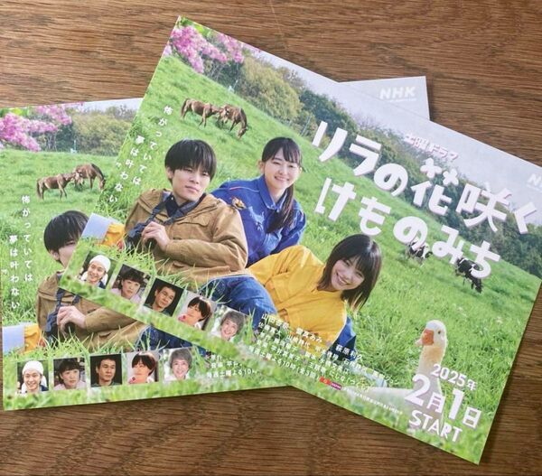 2枚セット!リラの花咲くけものみち ポストカード NHK ドラマ 萩原利久 山田杏奈 新品 はがき コレクション 俳優