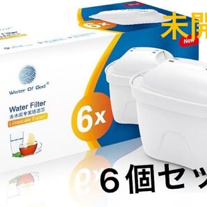 浄水ポット用カートリッジ 新旧型ポート対応 日本仕様 高除去 (6個セット)